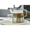 ZWILLING Sorrento Double Wall Glassware 27-oz, Teapot With Stainless Steel Stand