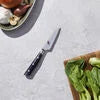 MIYABI Evolution 3.5-inch, Paring Knife