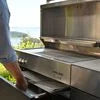 ZWILLING Flammkraft Model D Natural gas grill, Deep Umbra