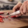 ZWILLING Professional S 4-inch, Paring Knife