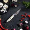 MIYABI Miyabi Ori 3.5-inch, Paring Knife