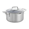 ZWILLING Clad CFX 6 qt, Non-stick, Stainless Steel Ceramic Dutch Oven